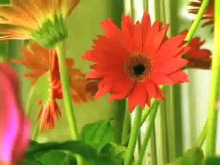 Lembranças da Liberdade - Rafael Jardim/BA