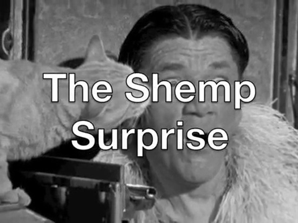 The Shemp Surprise