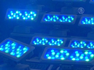 Статуя Христа стала синей против торговли людьми