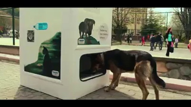 Sokak Hayvanları İçin Üretilmiş Geri Dönüşüm Kutusu.