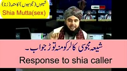 shia majoosi mutta VS barelvi Alim on tv