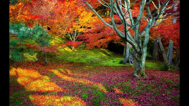 Слайдшоу созданное мной для сайта georgy.esy.es