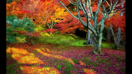 Слайдшоу созданное мной для сайта georgy.esy.es