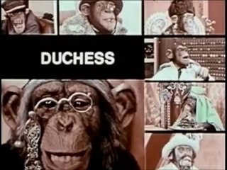 Lancelot Link Secret Chimp Intro (the 70's)