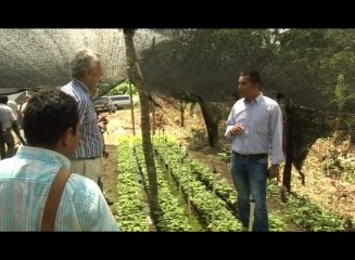 SUCRE VISIBLE JULIO 2