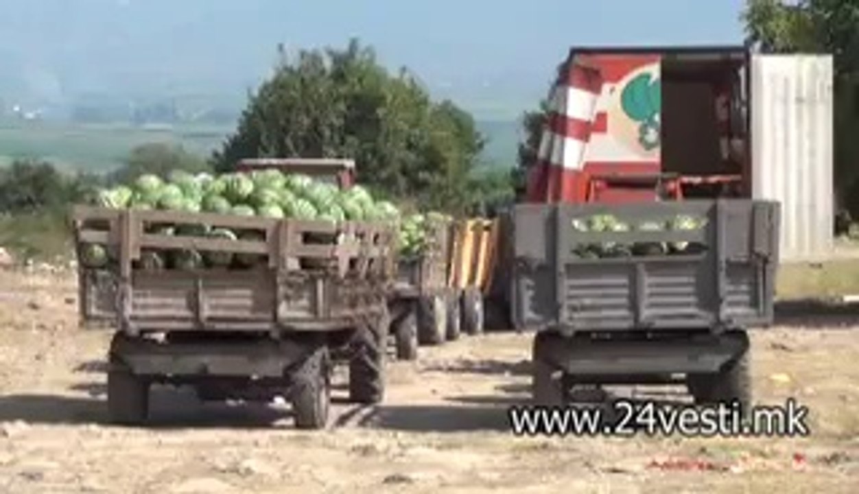 STRUMICA NEMA OTKUP NA BOSTAN  30 07