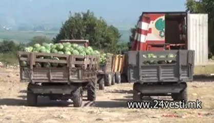 STRUMICA NEMA OTKUP NA BOSTAN  30 07