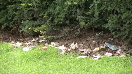 -Proche-Orient: déluge de feu sur Gaza, le Hamas prêt à une trêve de 24 heures-Justice: Jérôme Kerviel obtient un aménagement de peine, mais le parquet va vraisemblablement faire appel-Terrorisme: Medhi Nemmouche a été livré par la France à la Belgique,