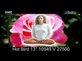 #DMC_TV Hot Bird 13° 10949 V 27500