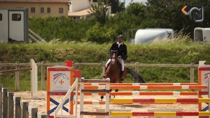 Hongre de 8 ans par FOR PLEASURE