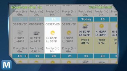 Surprise Blizzard Covers the Google Campus