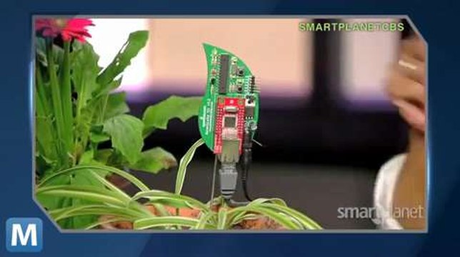 DIY Electronic Leaf Tweets You When Plants Are Thirsty