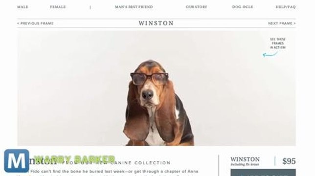 Warby 'Barker' Brings You Designer Specs for Your Dog