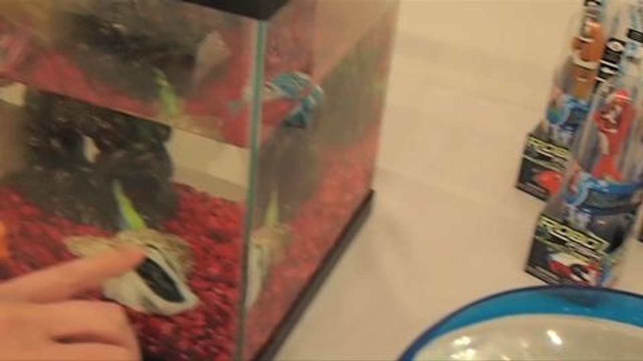 Robofish Are Real.  The Future is Now