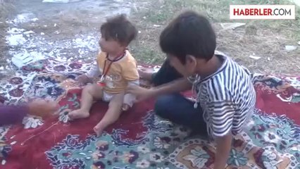 Mevsimlik fındık işçileri Karadeniz'de -