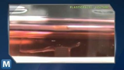 Bio-Robots Use Heart Cells to Get Around