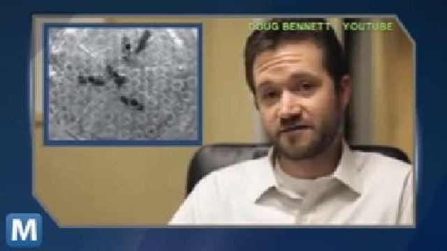 Aerospace Company Trains Insects to Detect Bedbugs