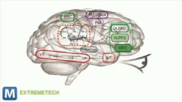 Scientists Create World’s Most Realistic Artificial Human Brain
