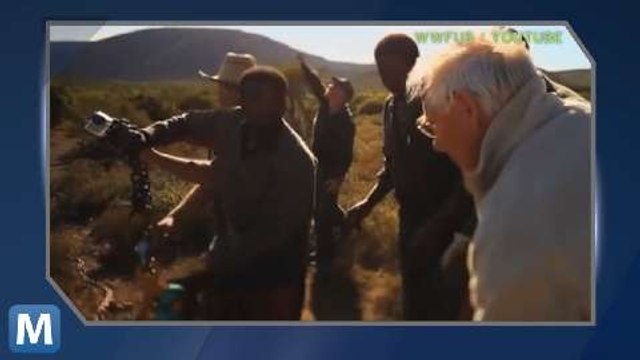 WWF Secures Google Funding to Track Poachers with Drones