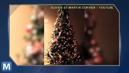 An LED Christmas Tree Synched to the Season’s Music