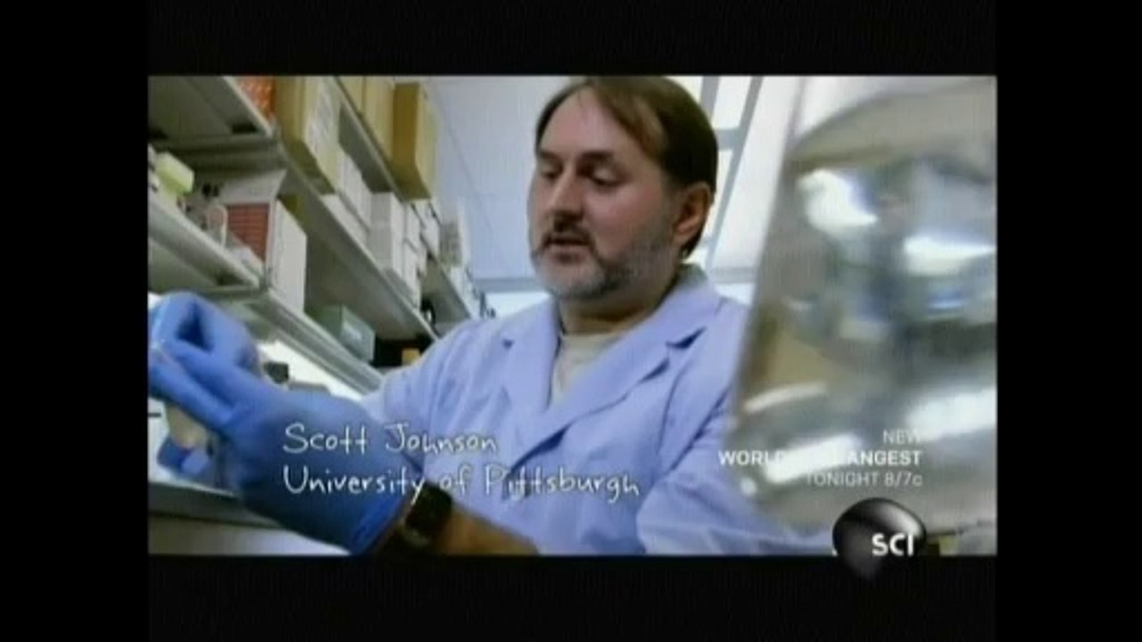 Scientist "REGROW" amputated finger!!!