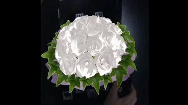 Canon Mixed Reality Is Google Glass for Business