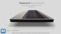 Roli Reinvents the Piano with Seaboard