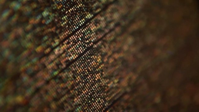 The Entire Human Genome Can be Inscribed on 5 CD-Sized Discs