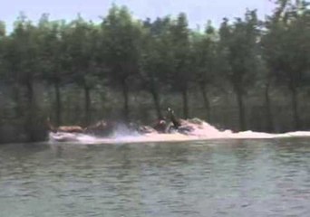 Wild Moose Enjoy a Swim in a Lake in Central China