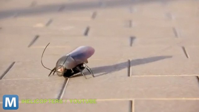 Control an Armada of Remote Vehicles with Your iPhone