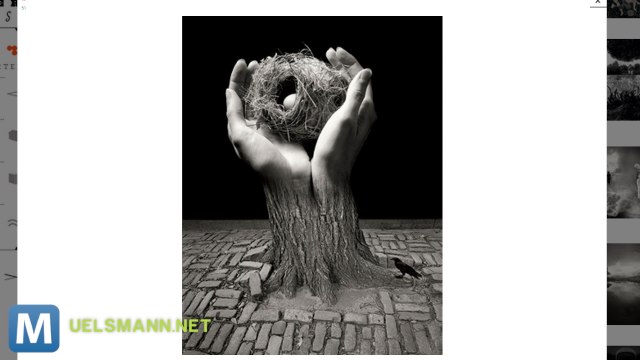 These Composite Photos Didn’t Need Photoshop