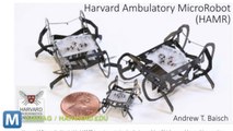 Harvard’s Micro-Robots run Like the Bugs They’re Modeled After