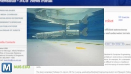 Singapore’s RoboCarp Mimics Fish, Will Rule the Oceans