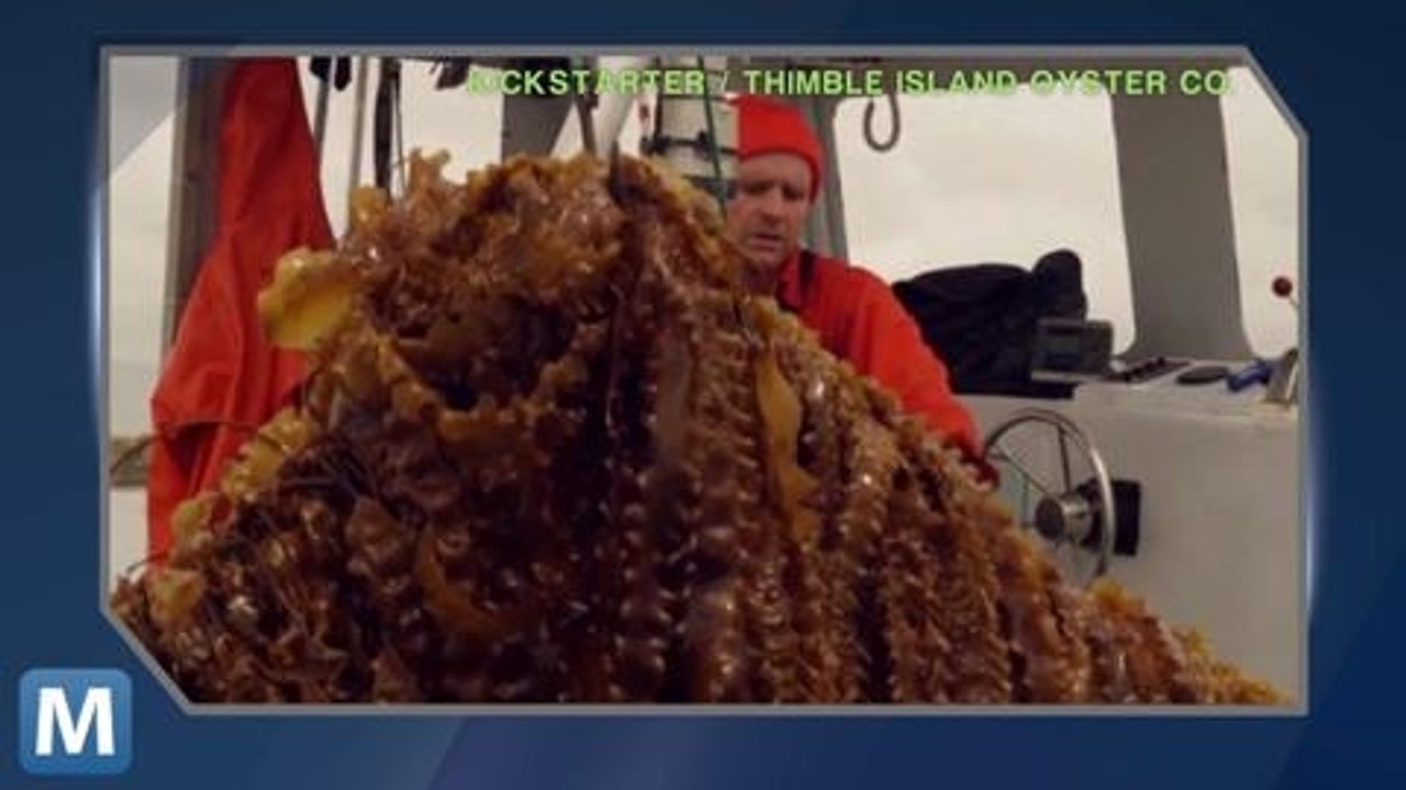 Former Fisherman Builds Ocean Farm to Grow Food, Help Environment