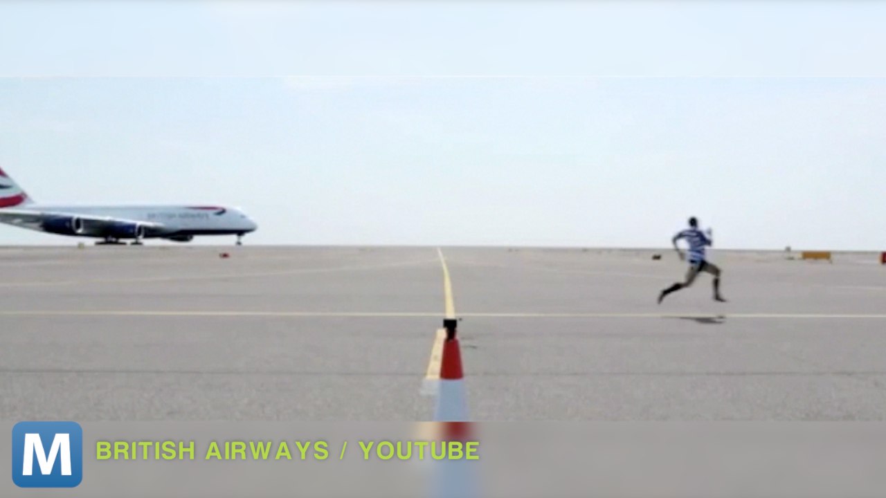 Viral Video Recap: Turtle Friends and Racing an Airliner