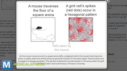 How Your Brain Keeps Track of Where you are