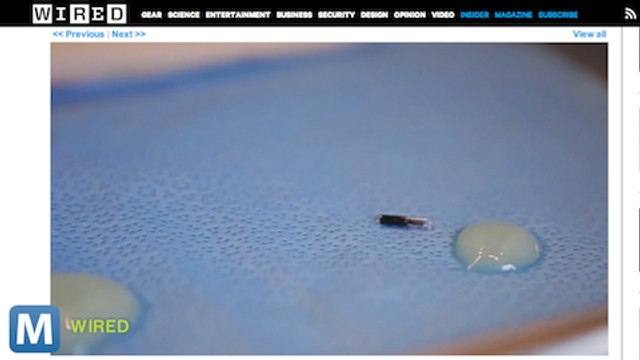 This Implanted Microchip Holds RFID art