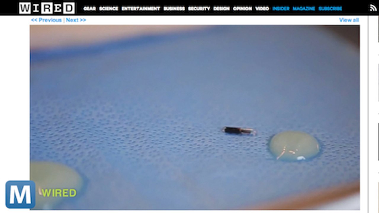 This Implanted Microchip Holds RFID art