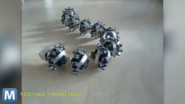 Robotic Snakes Could Head to Space