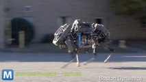 Boston Dynamics Begins WildCat Quadruped Robot Testing