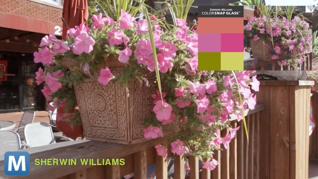 Sherwin WIlliams Turns the Real World into Your Personal Color Palette with Google Glass