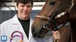 3D Printed, Titanium Horseshoes Could Make Horses Faster