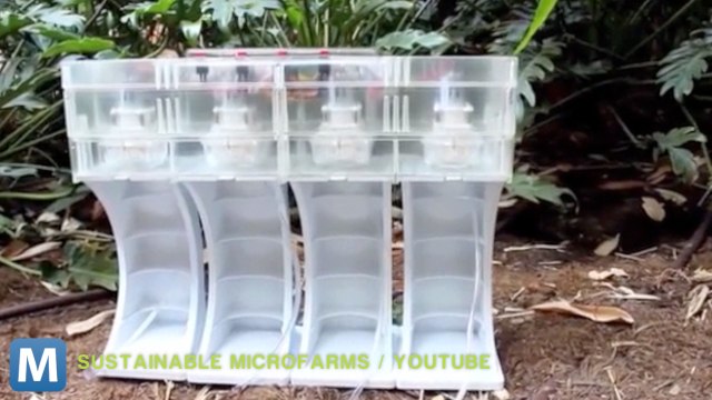 Genesis Controller Makes Hydroponic Farming a Breeze