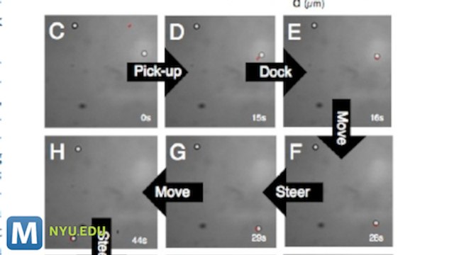 Researchers use Light-Activated Nano-Ants to Carry Huge Loads