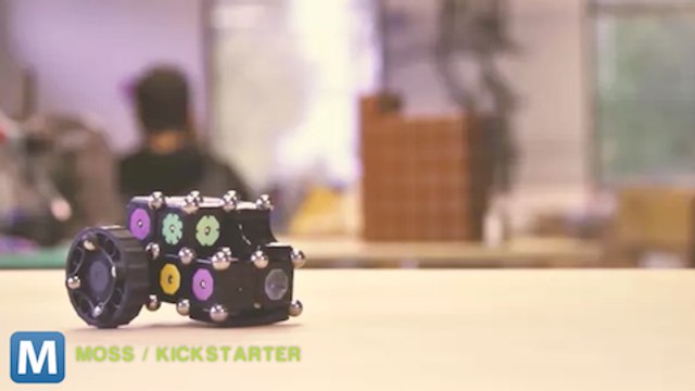 DIY MOSS Robots Click Together With Magnets