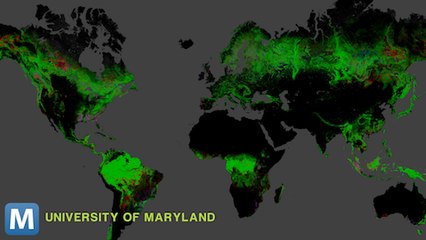 New map Shows the Effects of a Decade of Deforestation