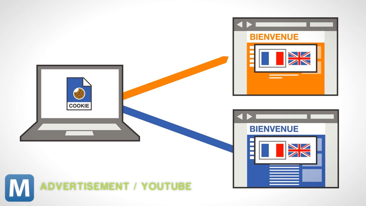 NSA Using Tracking Cookies Brief