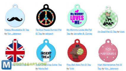 Virtual Leash: an Online Alert System for Lost Pets