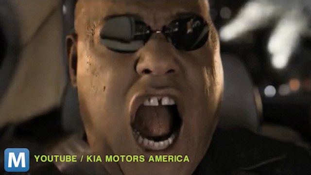 Viral Video Recap: Cats in Snow and Super Bowl Frustration