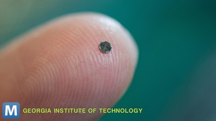 Tiny Chip Could Give Doctors a 3D View Inside Your Heart